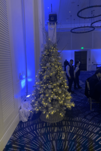 Home Christmas Lighting Service