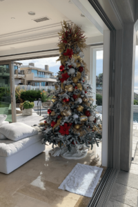 Outdoor Christmas Lights For House