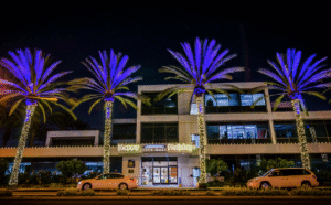 Read more about the article Holiday Lights Installation – Safe, Stunning & Hassle-Free Displays