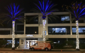 Read more about the article Event Lighting Services Orange County – Powerful Designs That Elevate Every Occasion