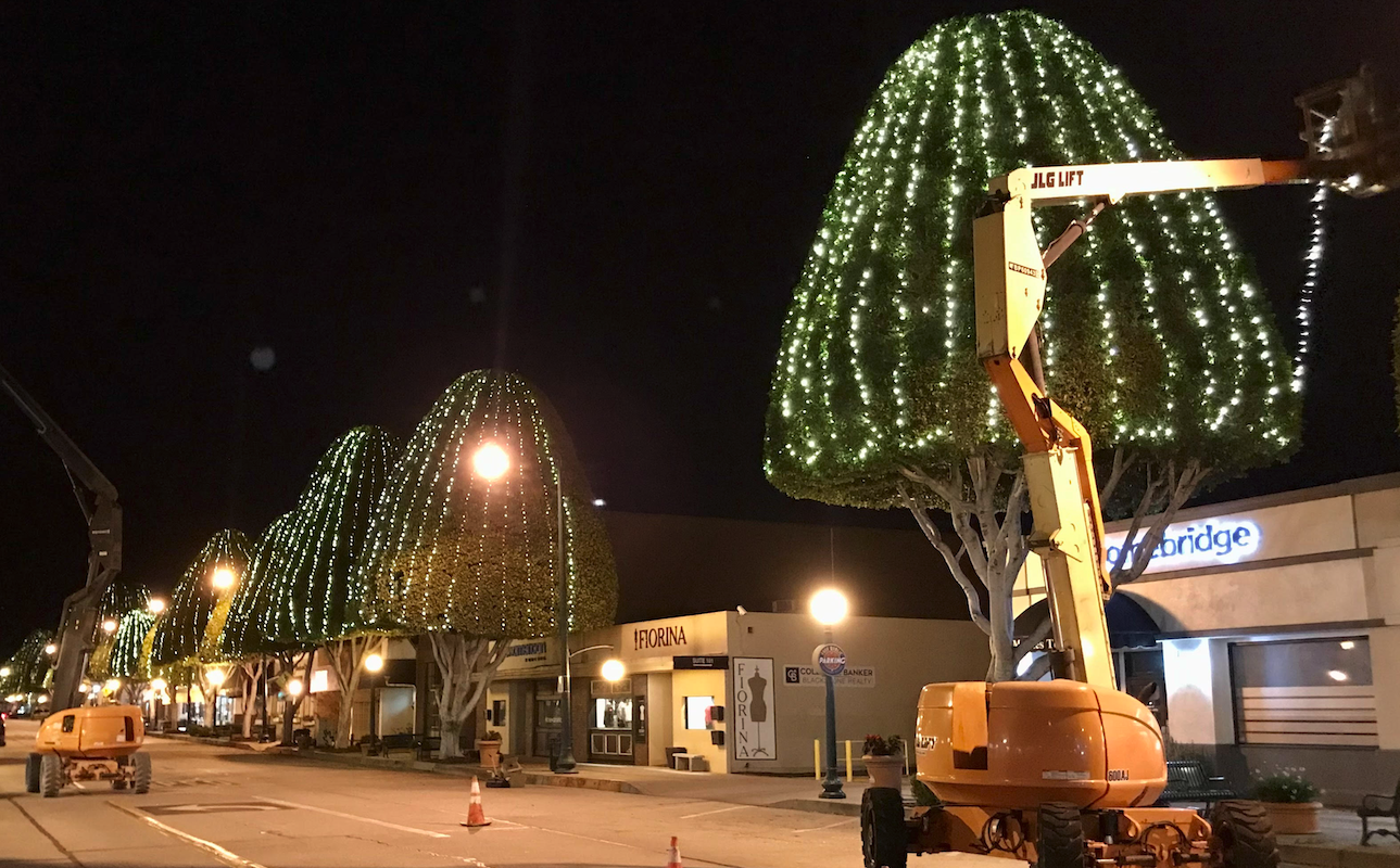 Read more about the article Decorative Holiday Lighting OC Brings Magical Cheer Without the Stress