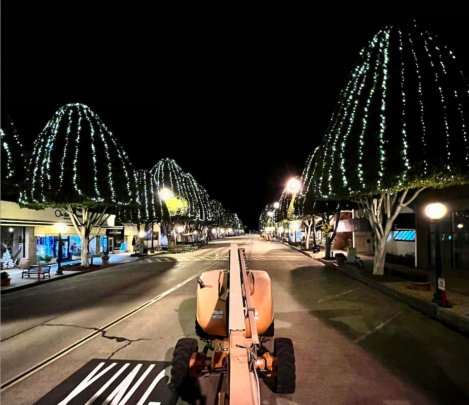 Read more about the article Light Up My Holidays: Your Trusted Partner for Dazzling Holiday Lighting