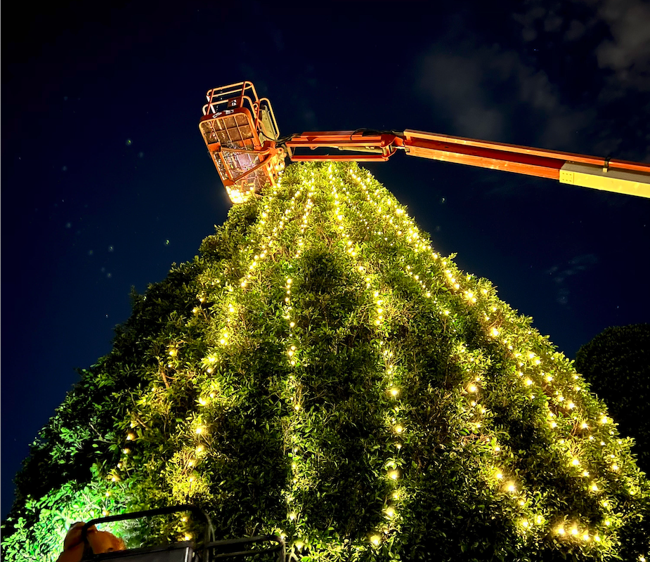 Read more about the article Christmas Light Installation in Orange County: Brighten Your Holidays with Style