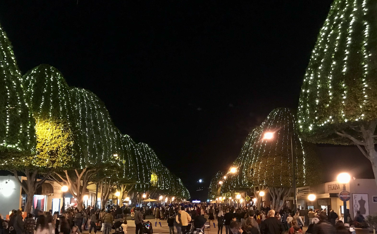 Read more about the article Christmas Light Service – Reliable & Affordable Holiday Lighting