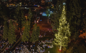 Read more about the article LED Outdoor Christmas Decorations: Bright, Beautiful & Energy-Efficient Holiday Magic