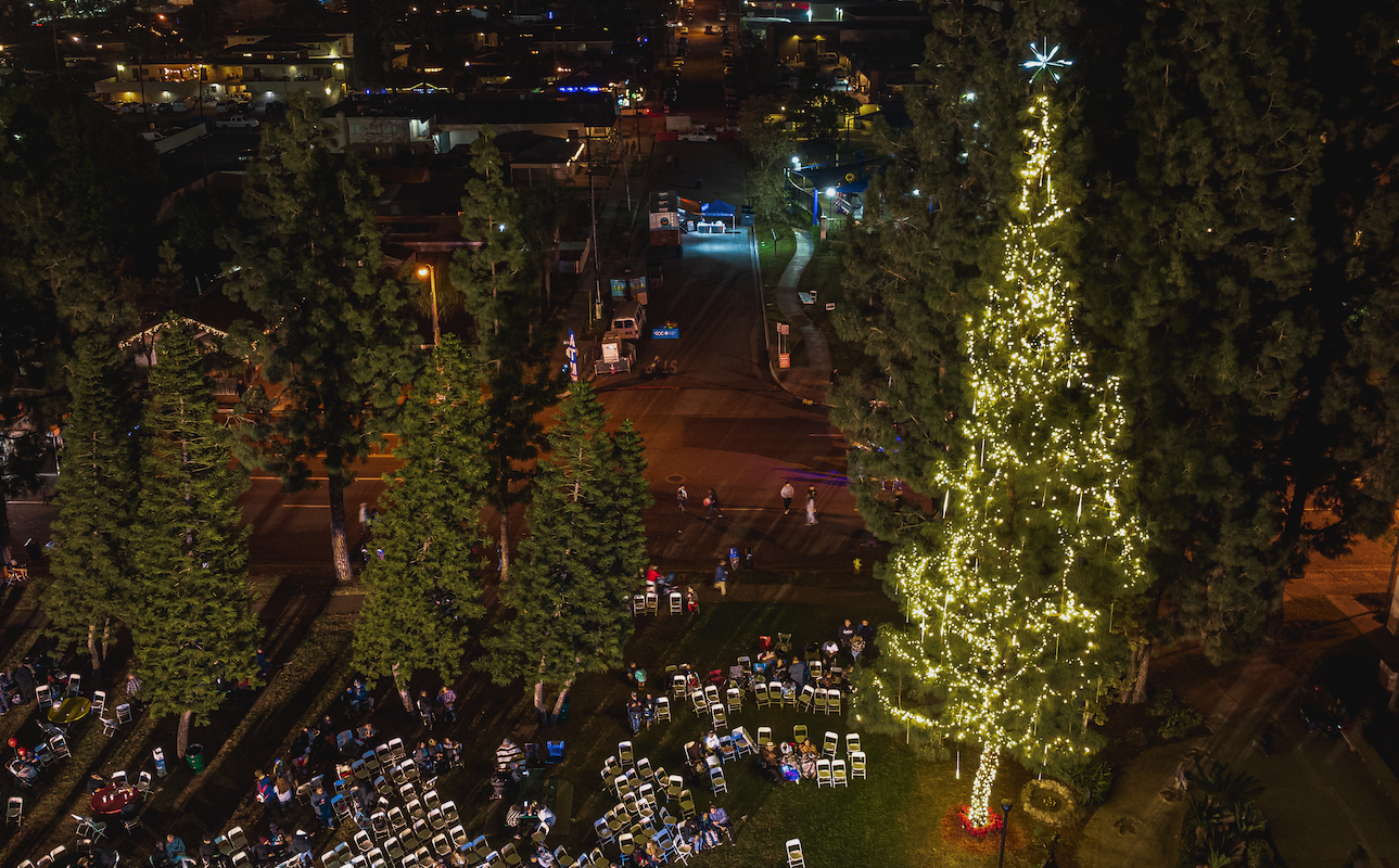 Read more about the article LED Outdoor Christmas Decorations: Bright, Beautiful & Energy-Efficient Holiday Magic