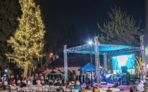 Read more about the article Custom Lighting Services in Orange County: Transformative Designs That Create an Unforgettable Atmosphere