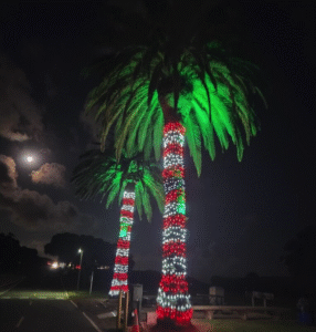 Read more about the article Creative Event Lighting Solutions Orange County Create Unforgettable Experiences