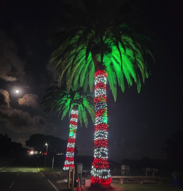 Read more about the article Creative Event Lighting Solutions Orange County Create Unforgettable Experiences