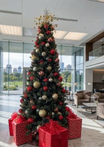 Read more about the article Holiday Light Installation Orange County: Custom Designs for Homes & Businesses